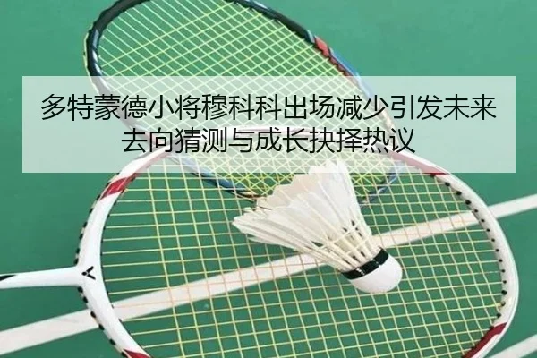 多特蒙德小将穆科科出场减少引发未来去向猜测与成长抉择热议
